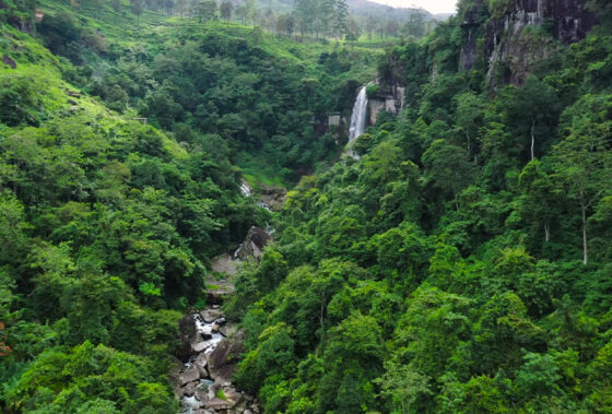 List of City Weekend Celebrations