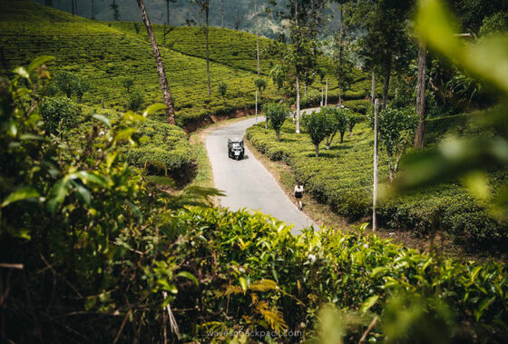 Metro Road Design Plan  2025