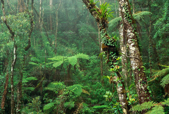 Dalvan Museum Street Art View