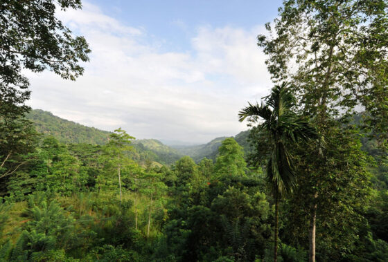 New Industrial Boom  2025: Announcement